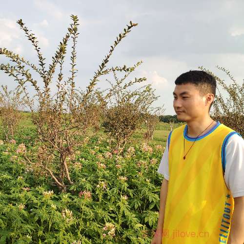 37岁岁广东单身帅哥 - 通辽吉缘网